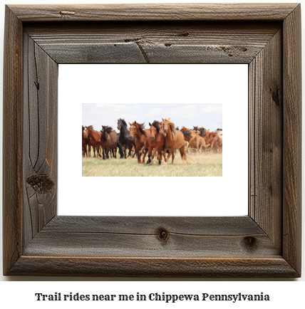 trail rides near me in Chippewa, Pennsylvania